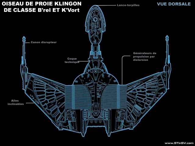 Vue Dorsale